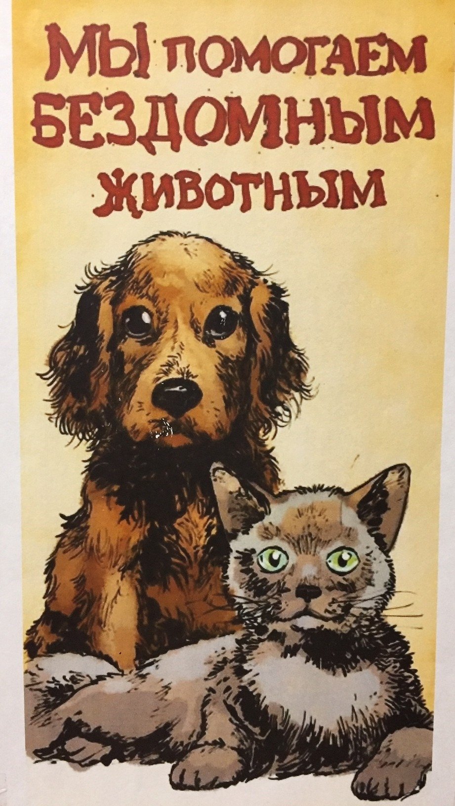 Группы помощи бездомным животным
