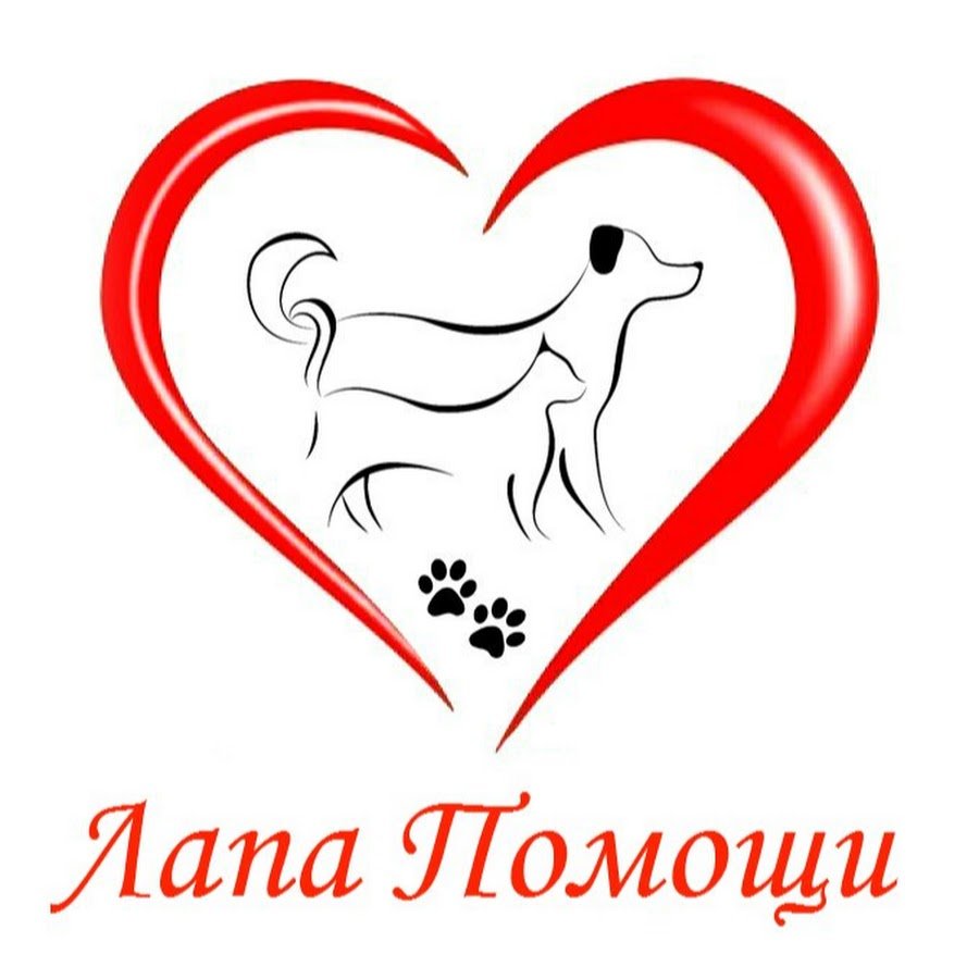 Срочно нужна помощь щенкам