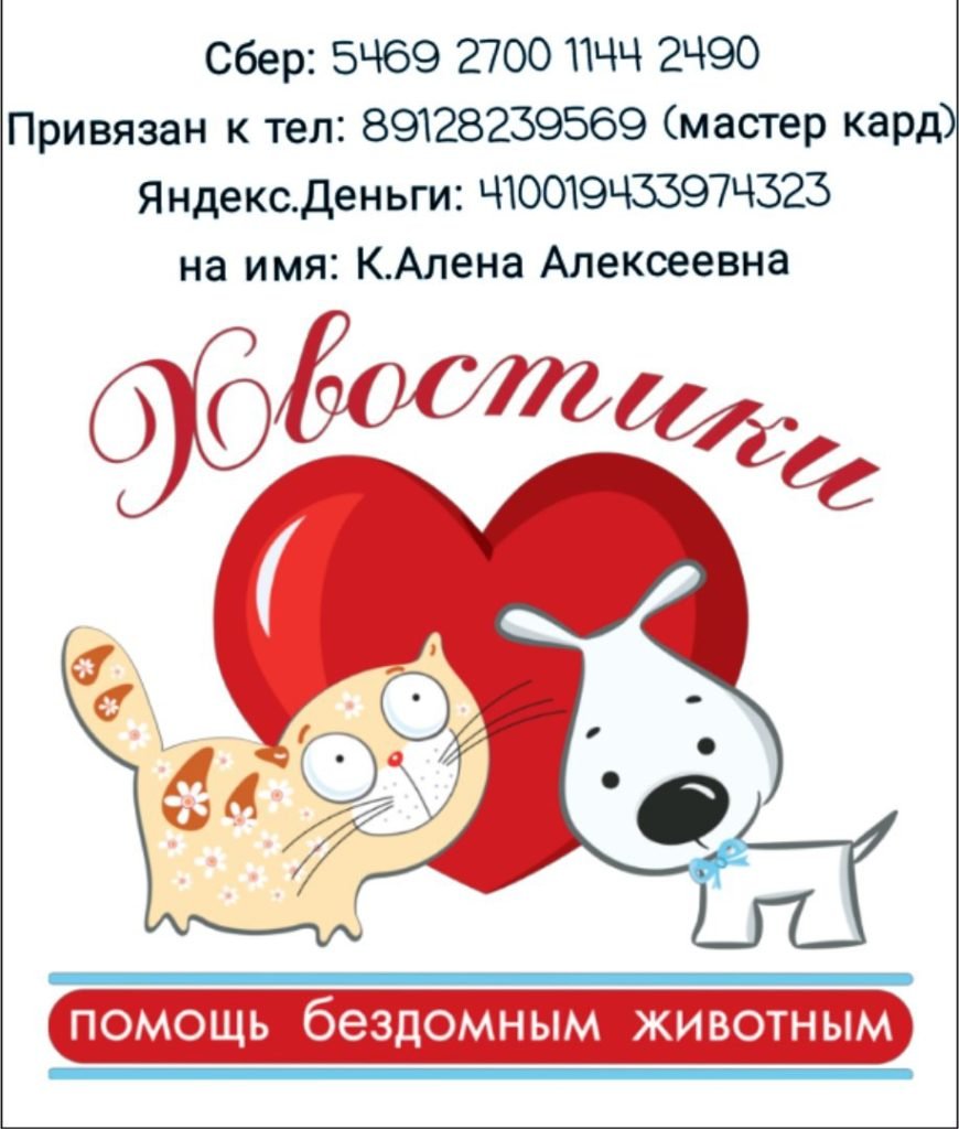 Лозунг для приюта животных