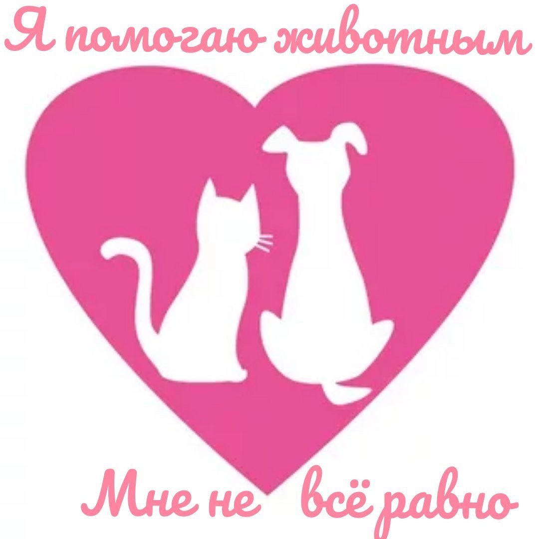 Поможем животным вместе