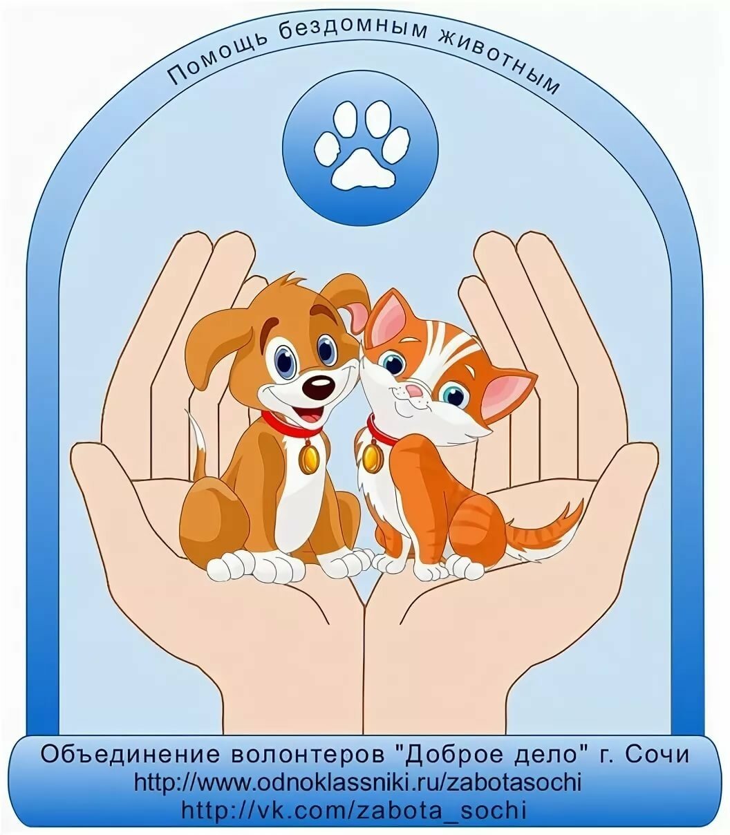 Приютите бездомных животных