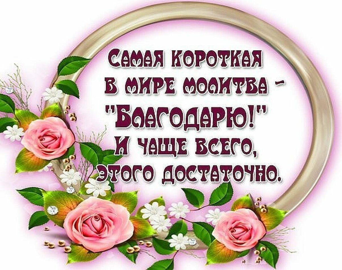 Красивые высказывания благодарности