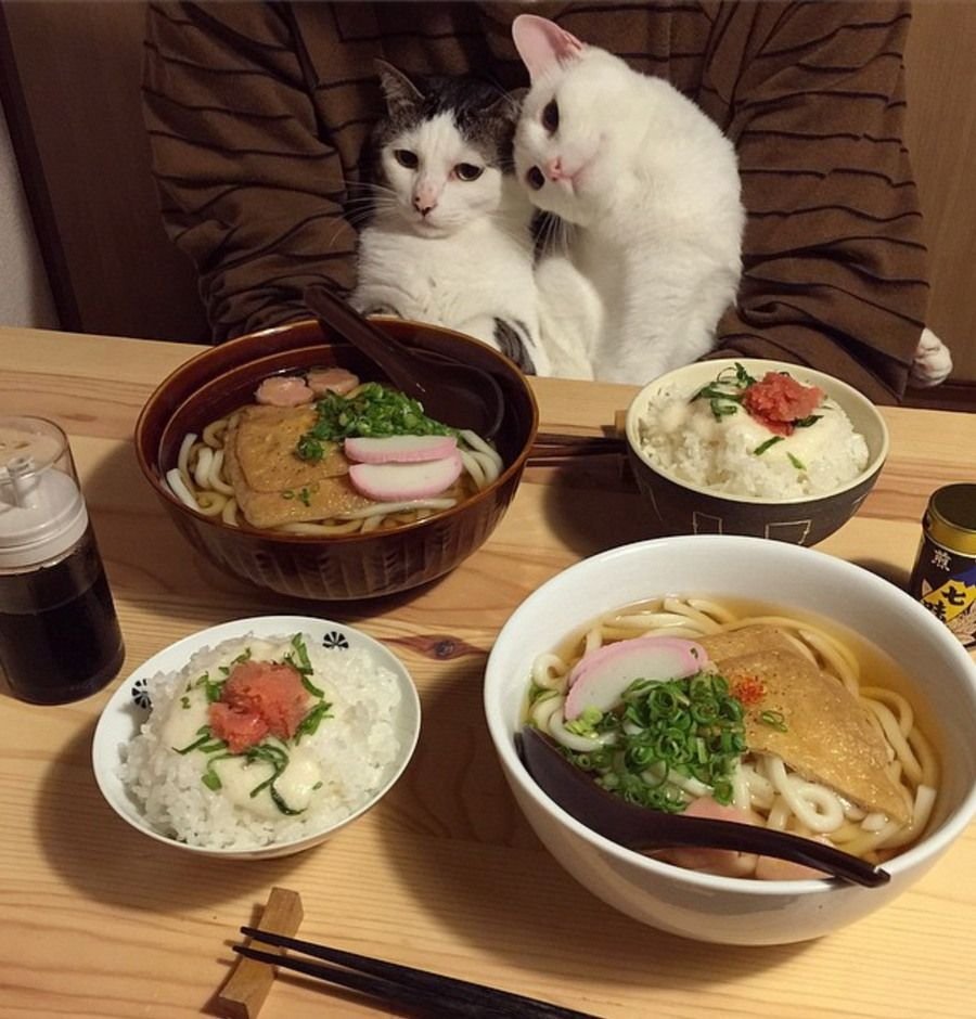 Оригинальные открытки с добрым утром