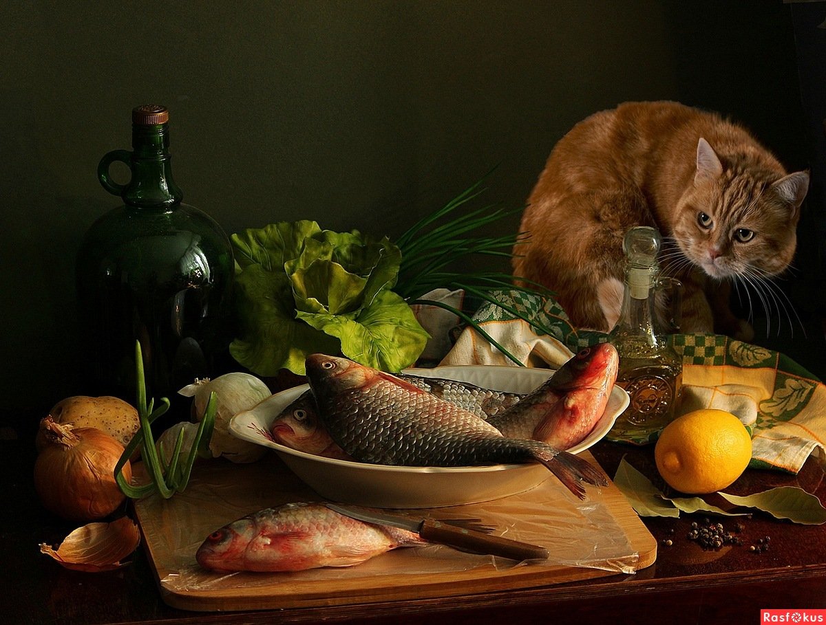 Еремина Елена Тайная жизнь ежиков