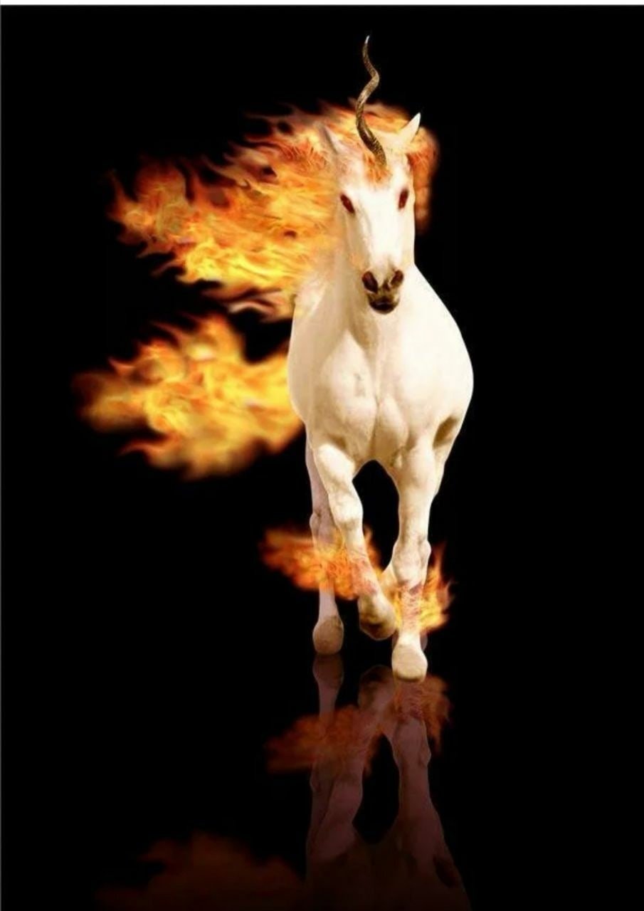 Красный Пегас