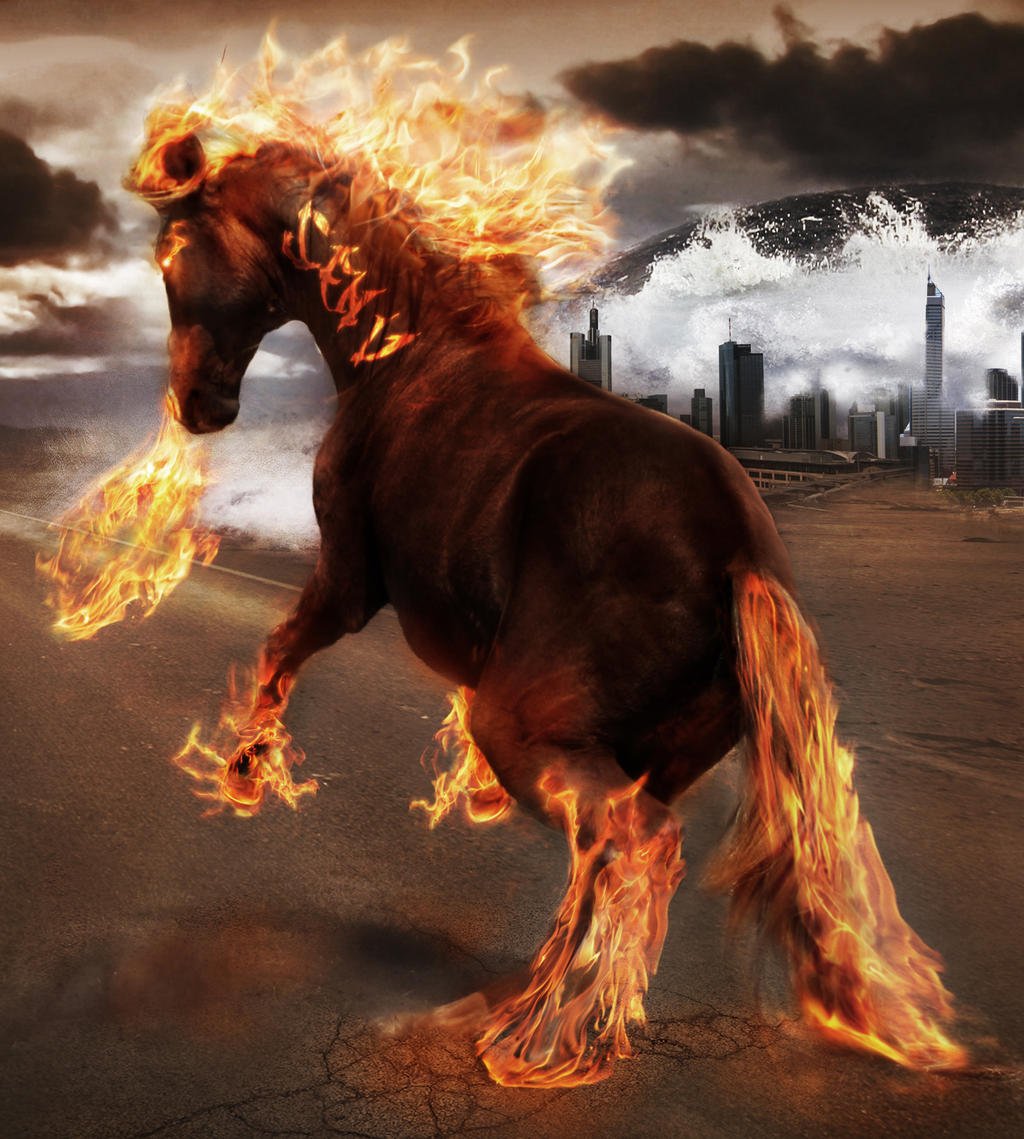 Лошади Марсии Болдуин