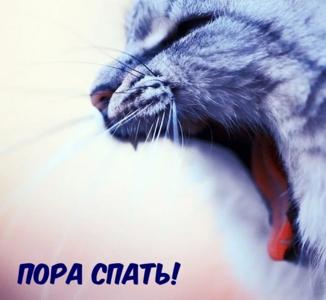 Пора спать картинки