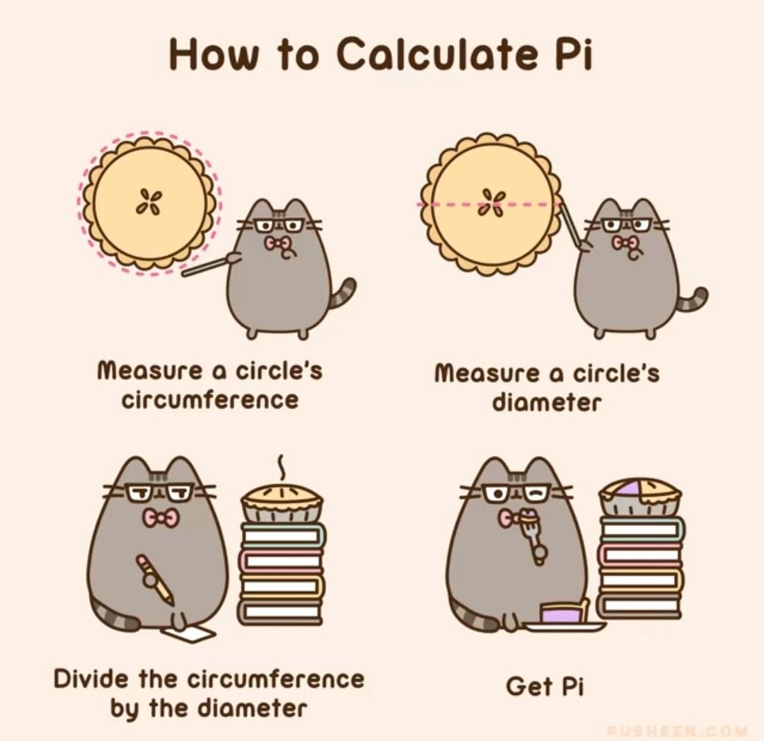 Кот Пушин это мальчик или девочка