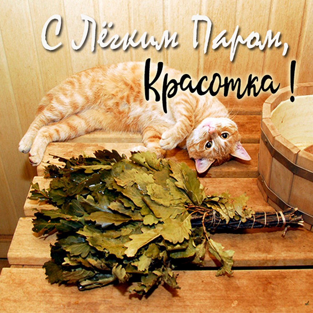 Поздравление с легким паром