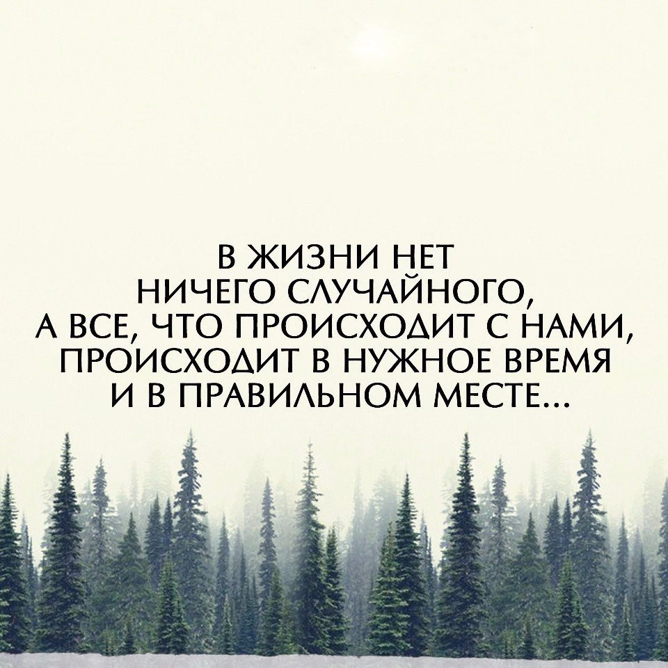 Молчание цитаты