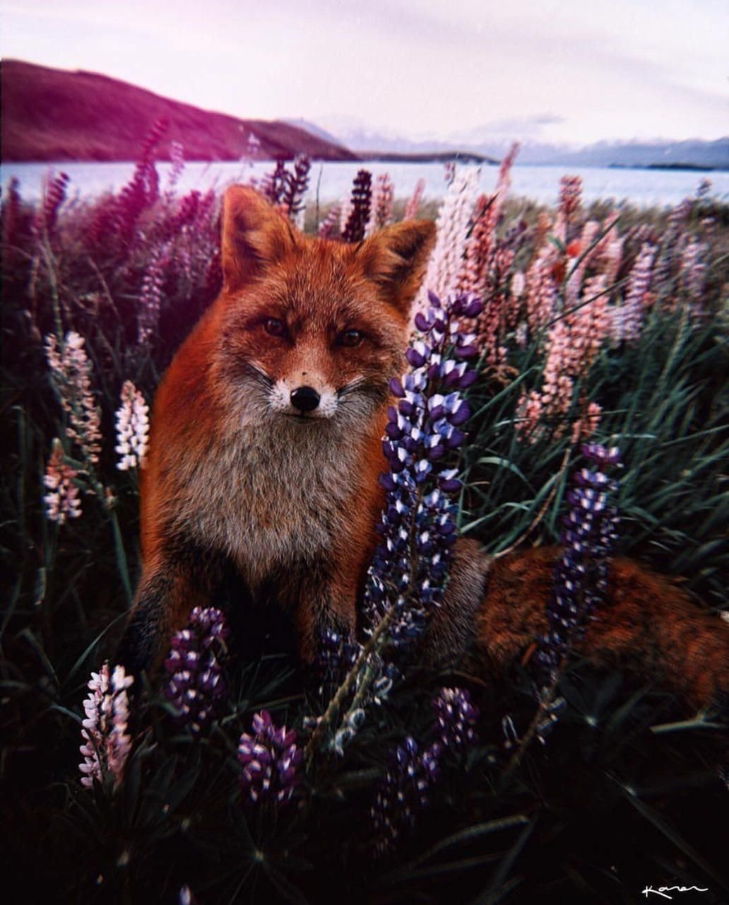 Лисенок в цветах