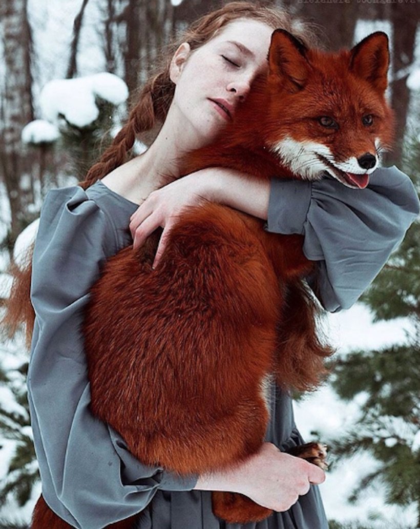 Александра Red_Fox