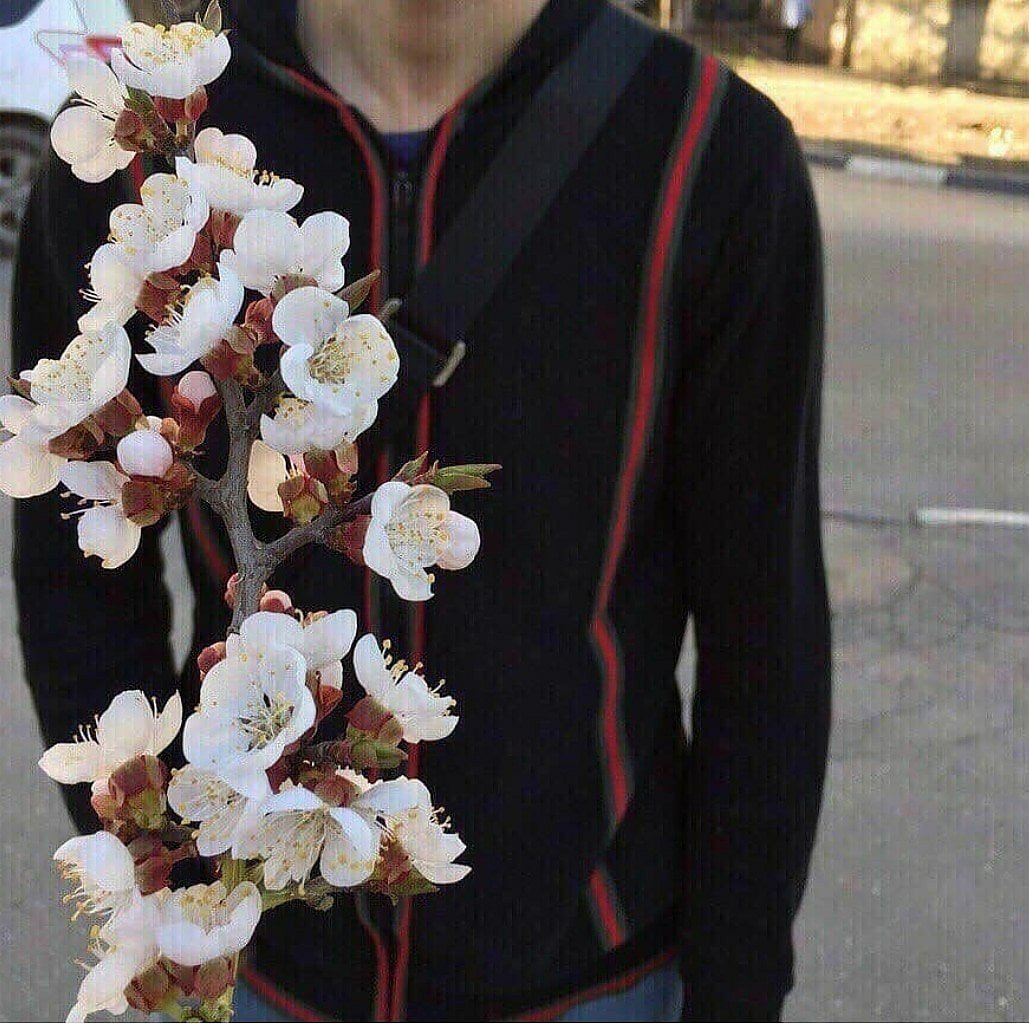 Бродяга без лица