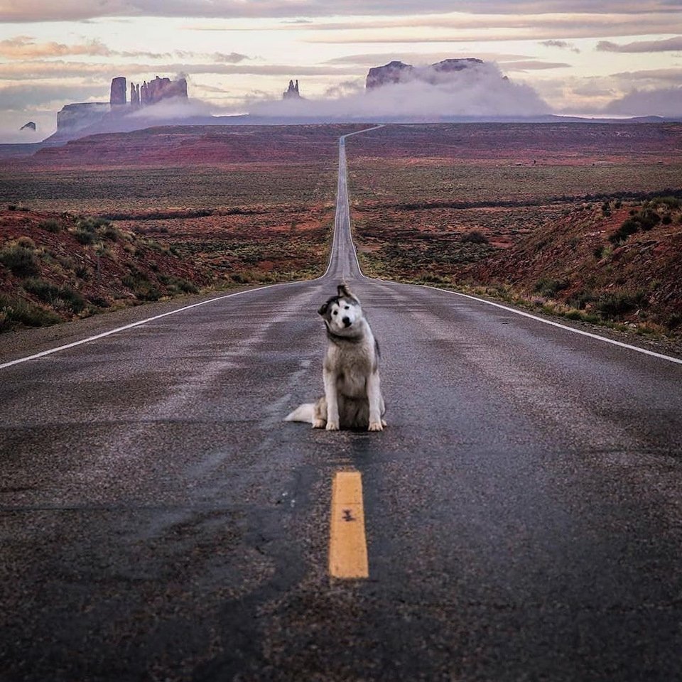 Мотивирующие картинки