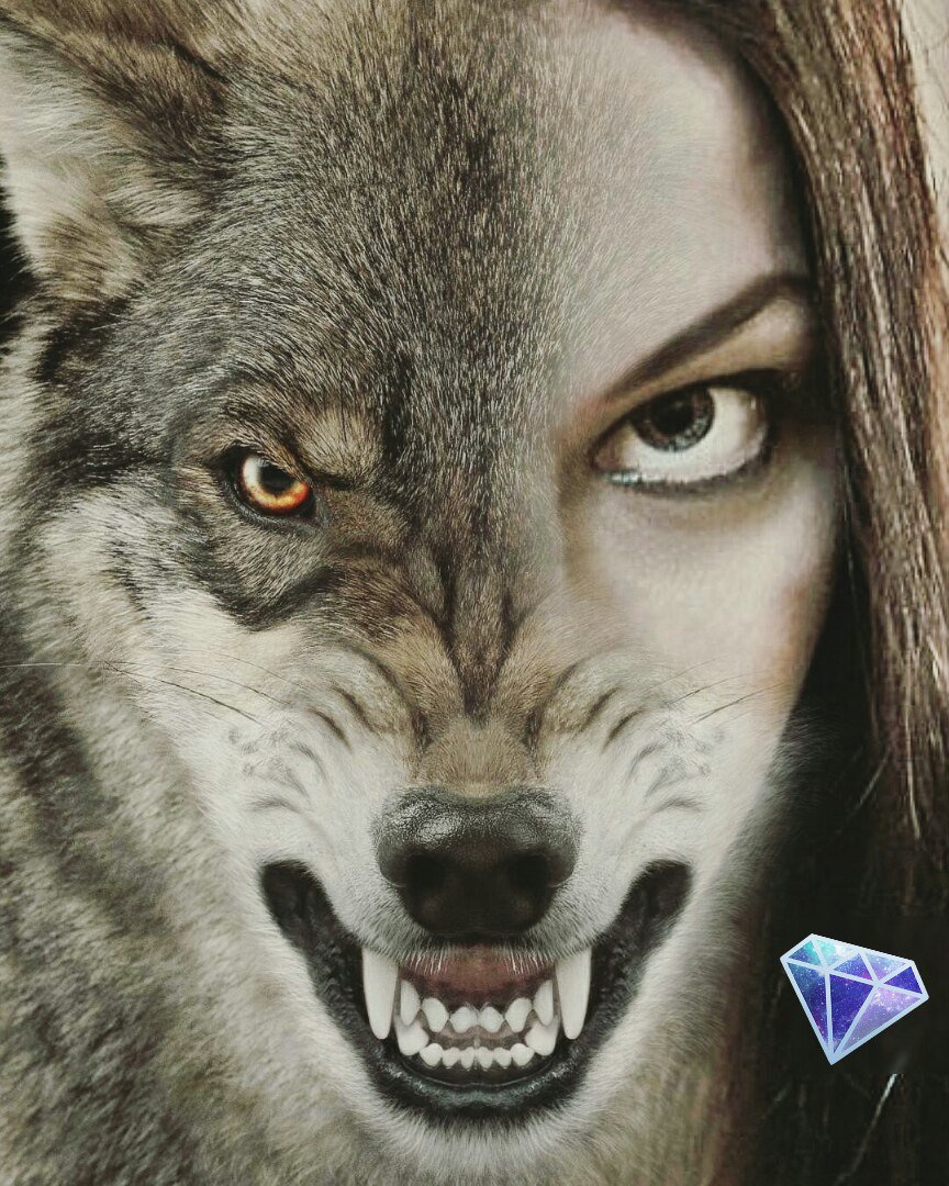 Свирепый волк