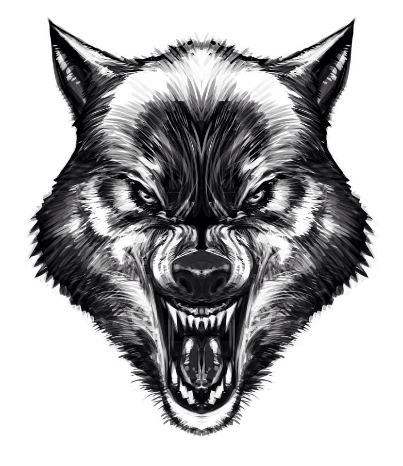 Волкособ оскал