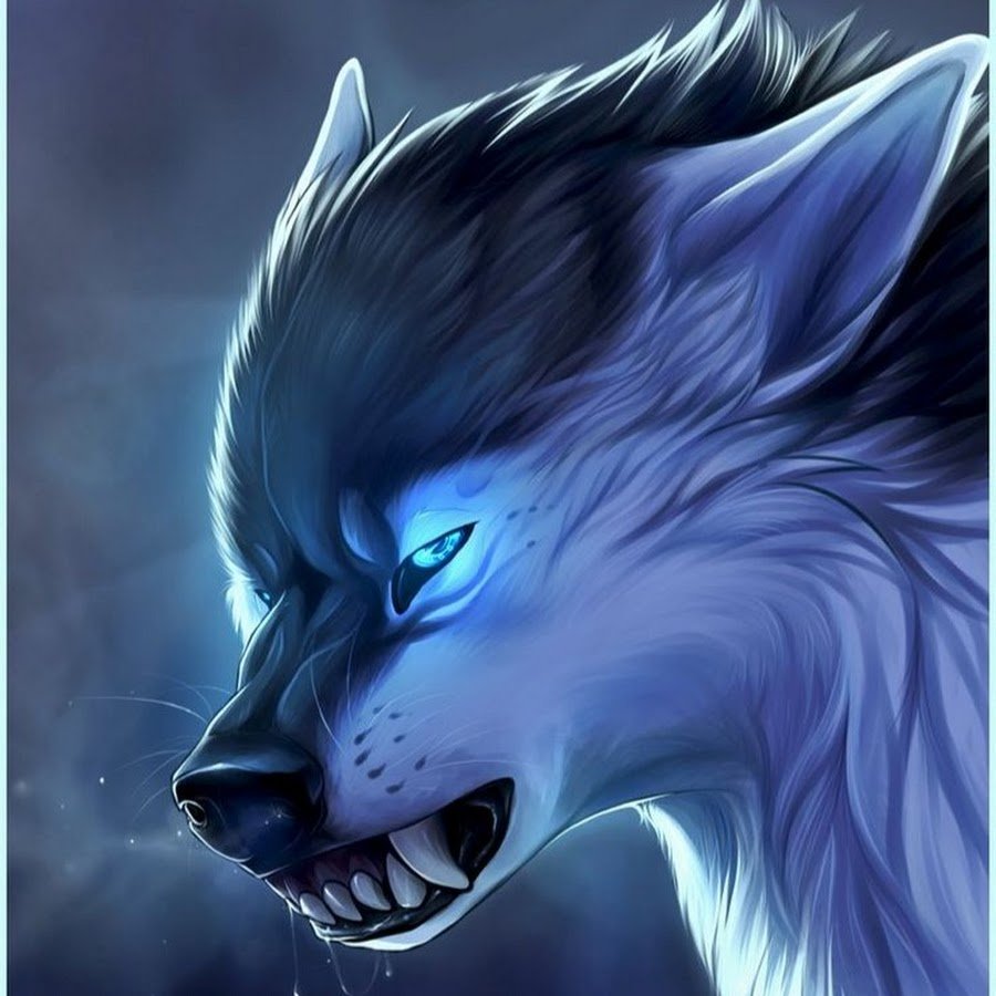 Синий волк злой