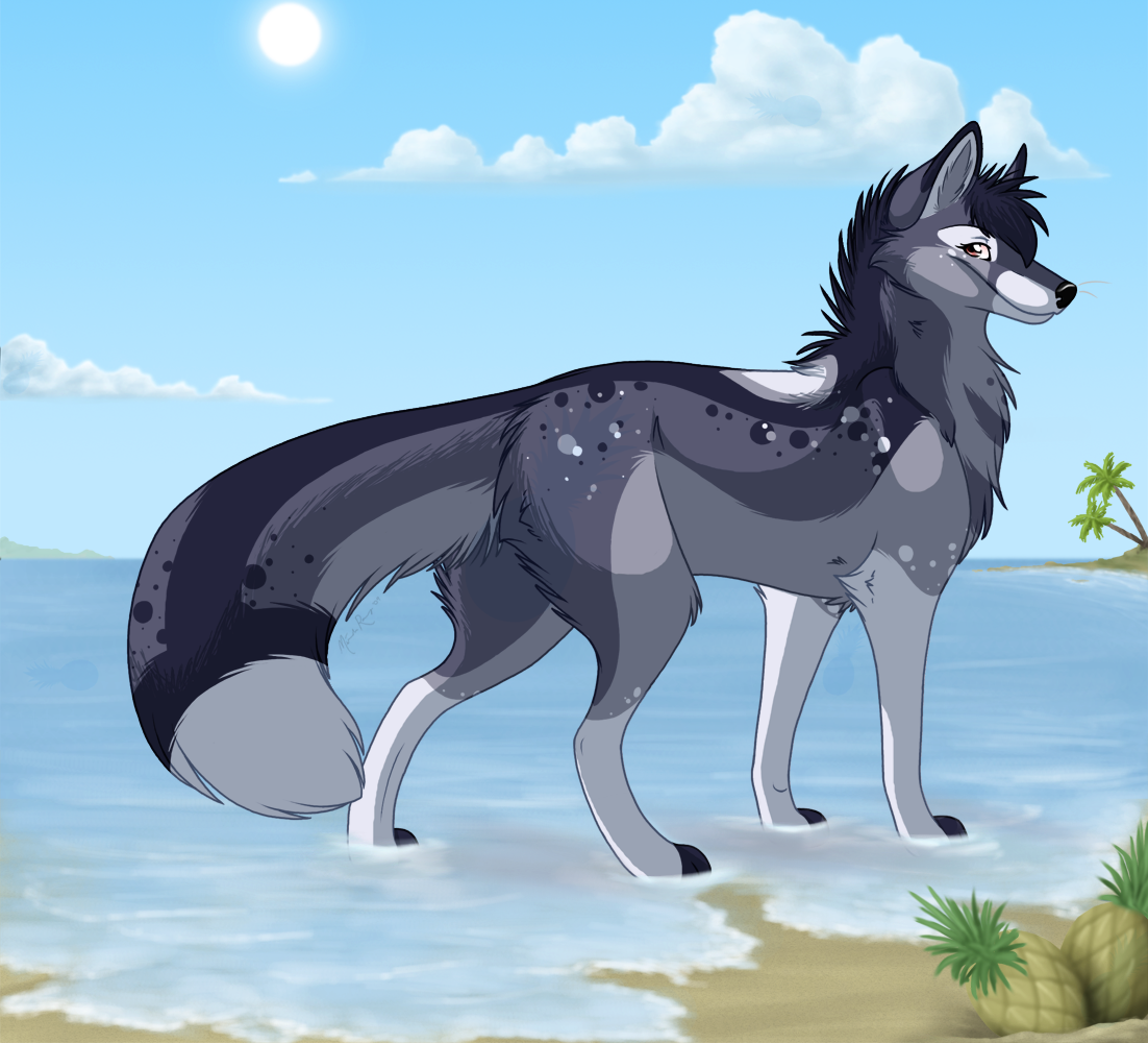 Волк саметс аниме