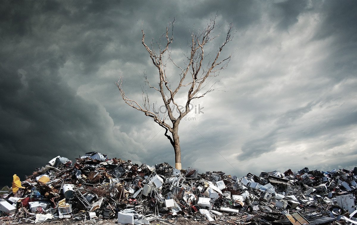 Загрязнение среды обитания