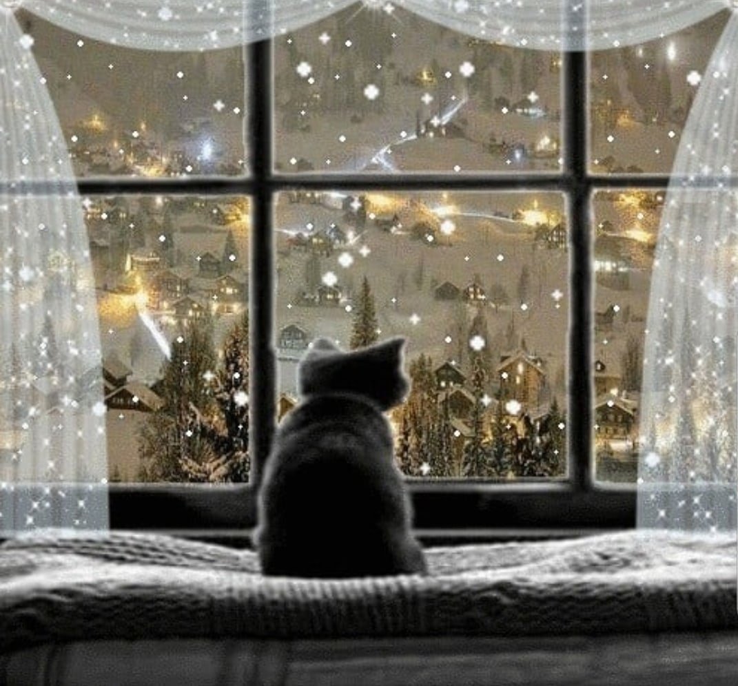 одинокий вечер на карнизе за окном