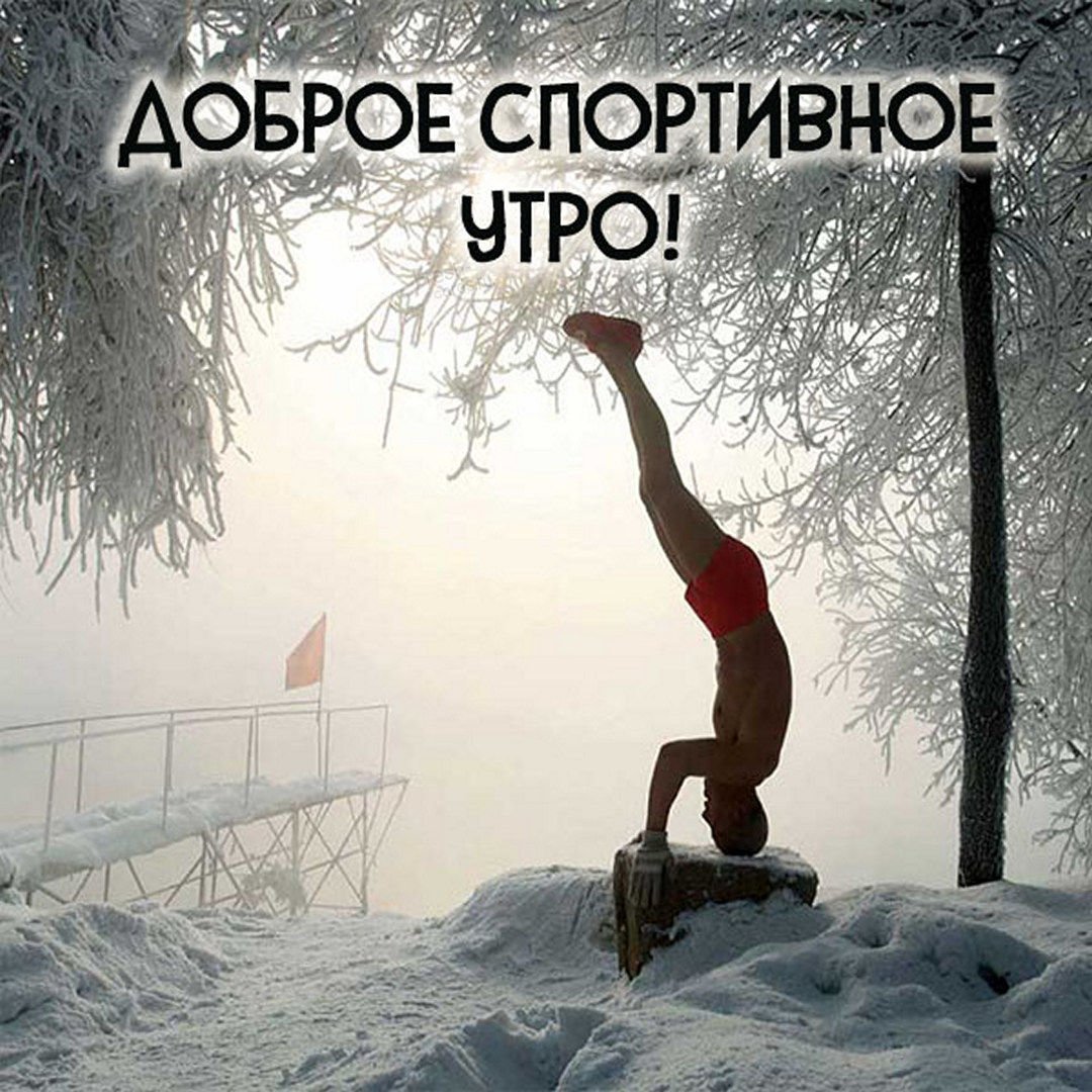 Цитаты на каждый день