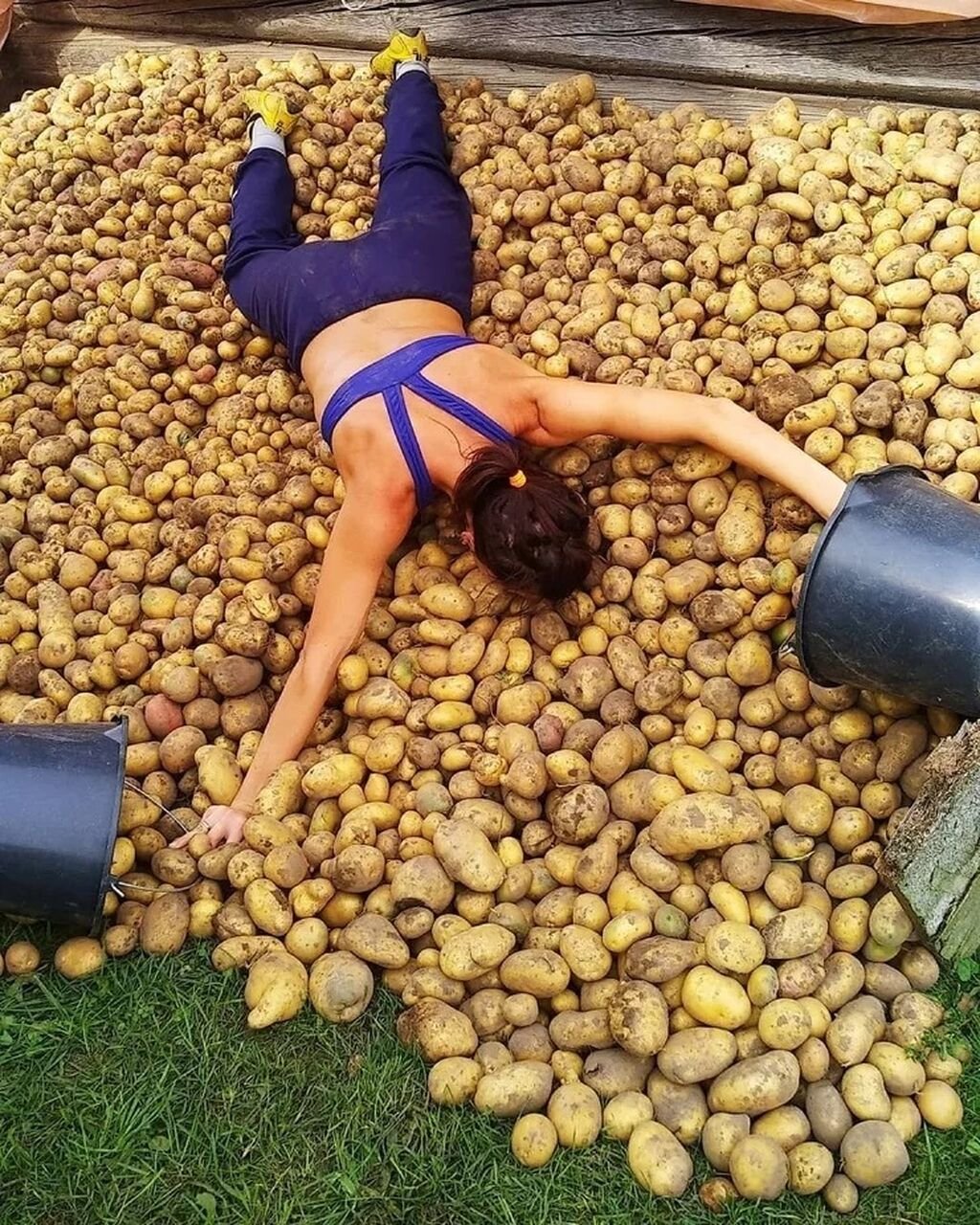 Копать картошку