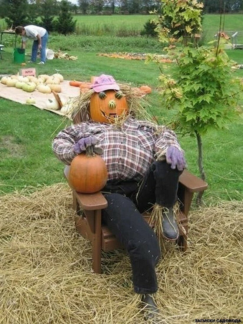 Прикольные пугало для огорода