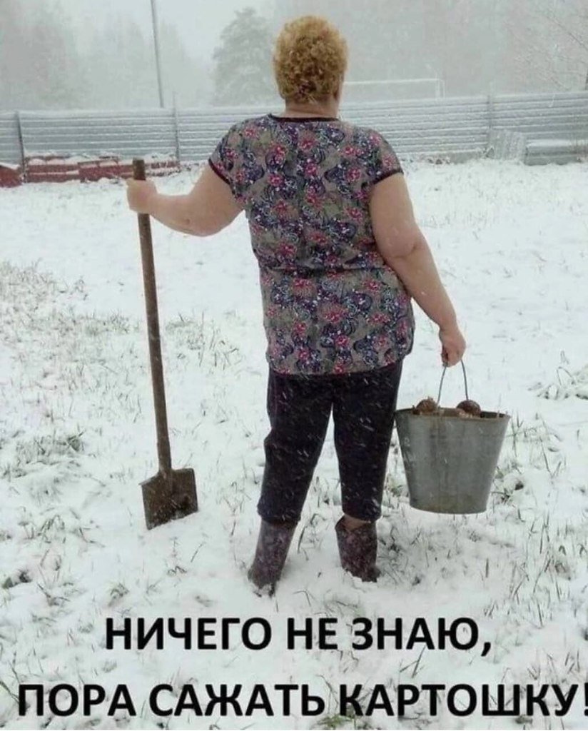 Пора копать картошку