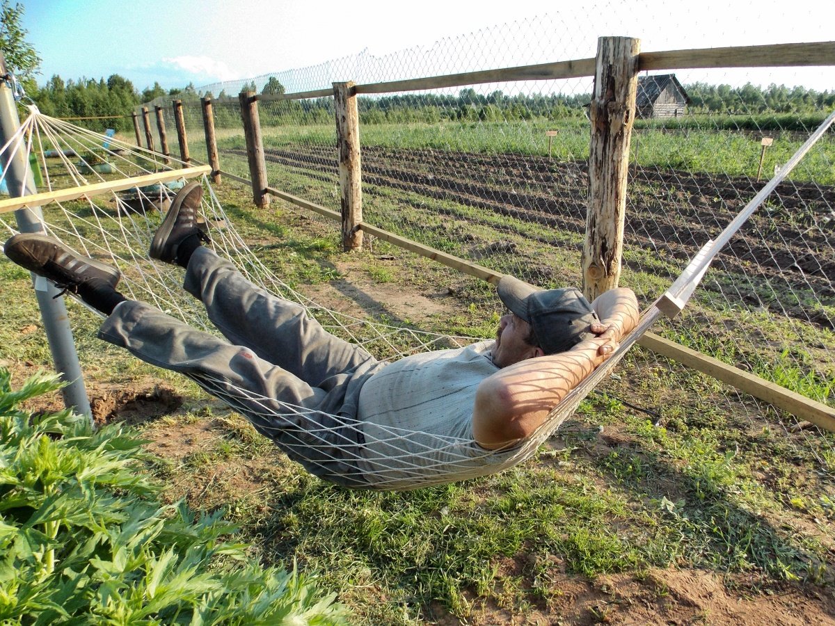 Отпуск на даче