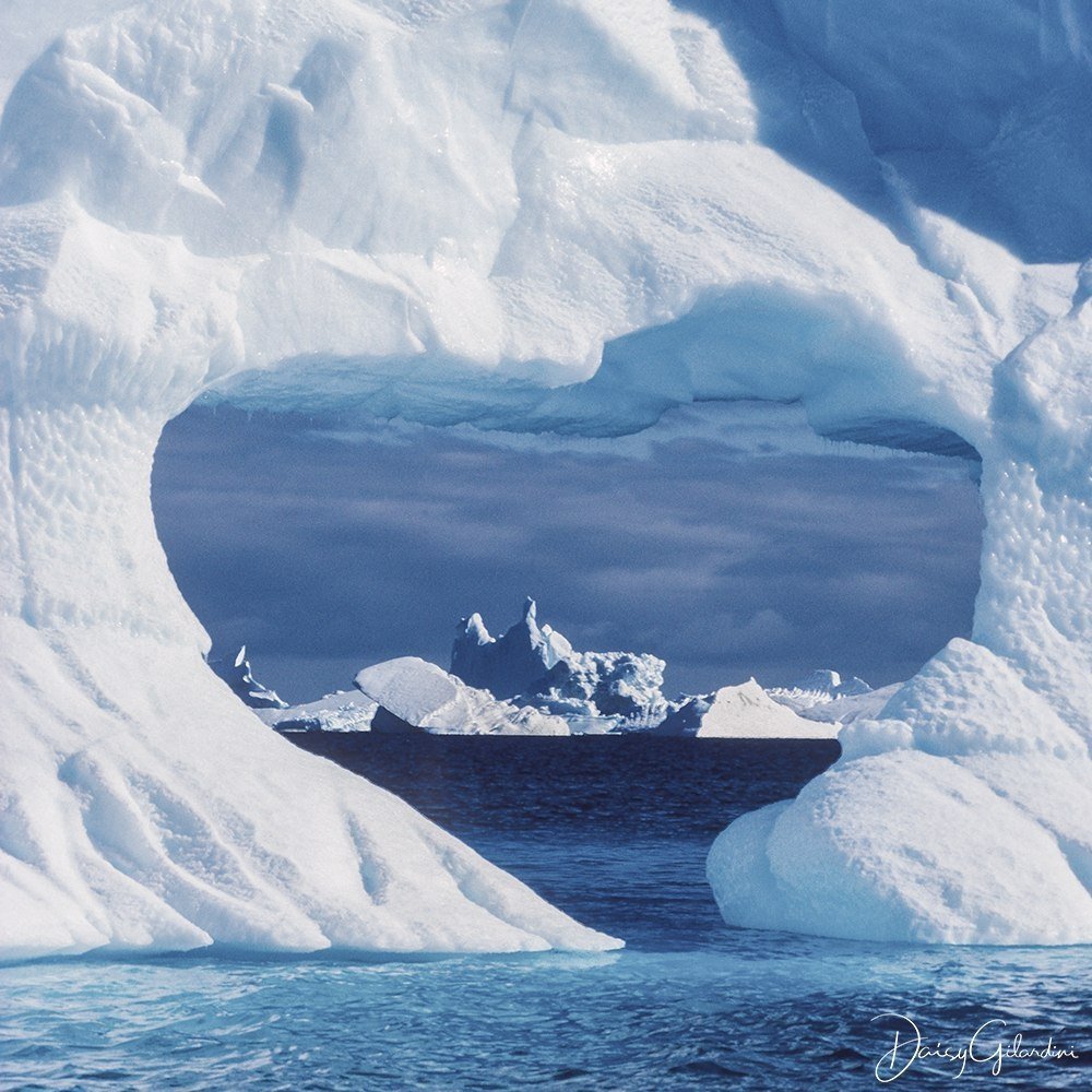 Айсберги Антарктиды