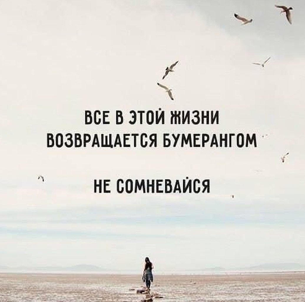 Бумеранг цитаты