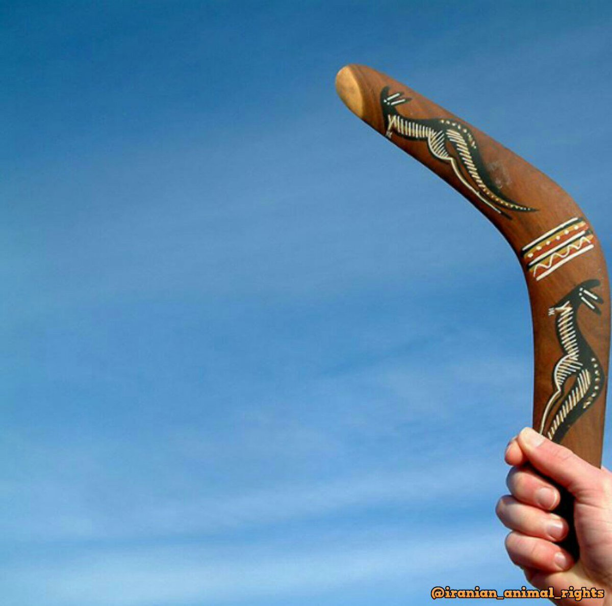 Жизнь Бумеранг