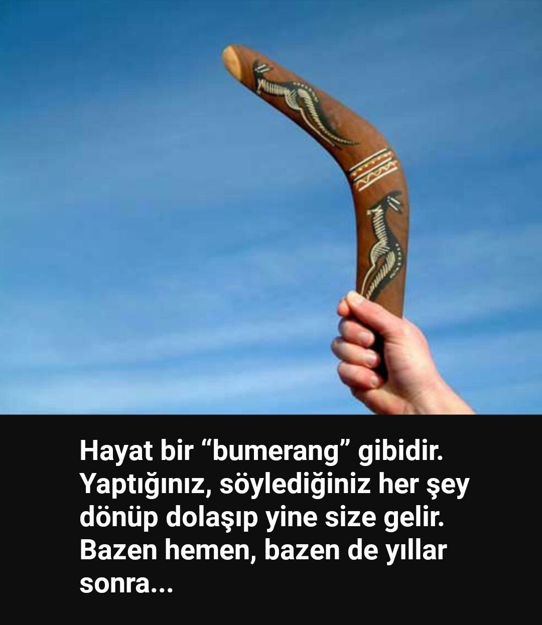 Жизнь Бумеранг