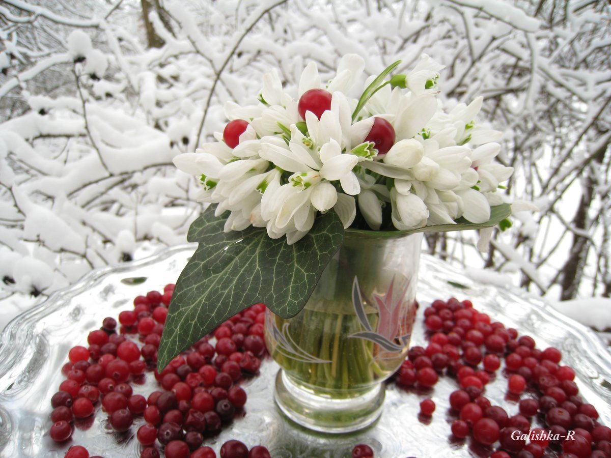 Доброе весеннее утро со снегом. Зимние цветы. Цветы зимой. Зимний букет. Красивые зимние цветы.