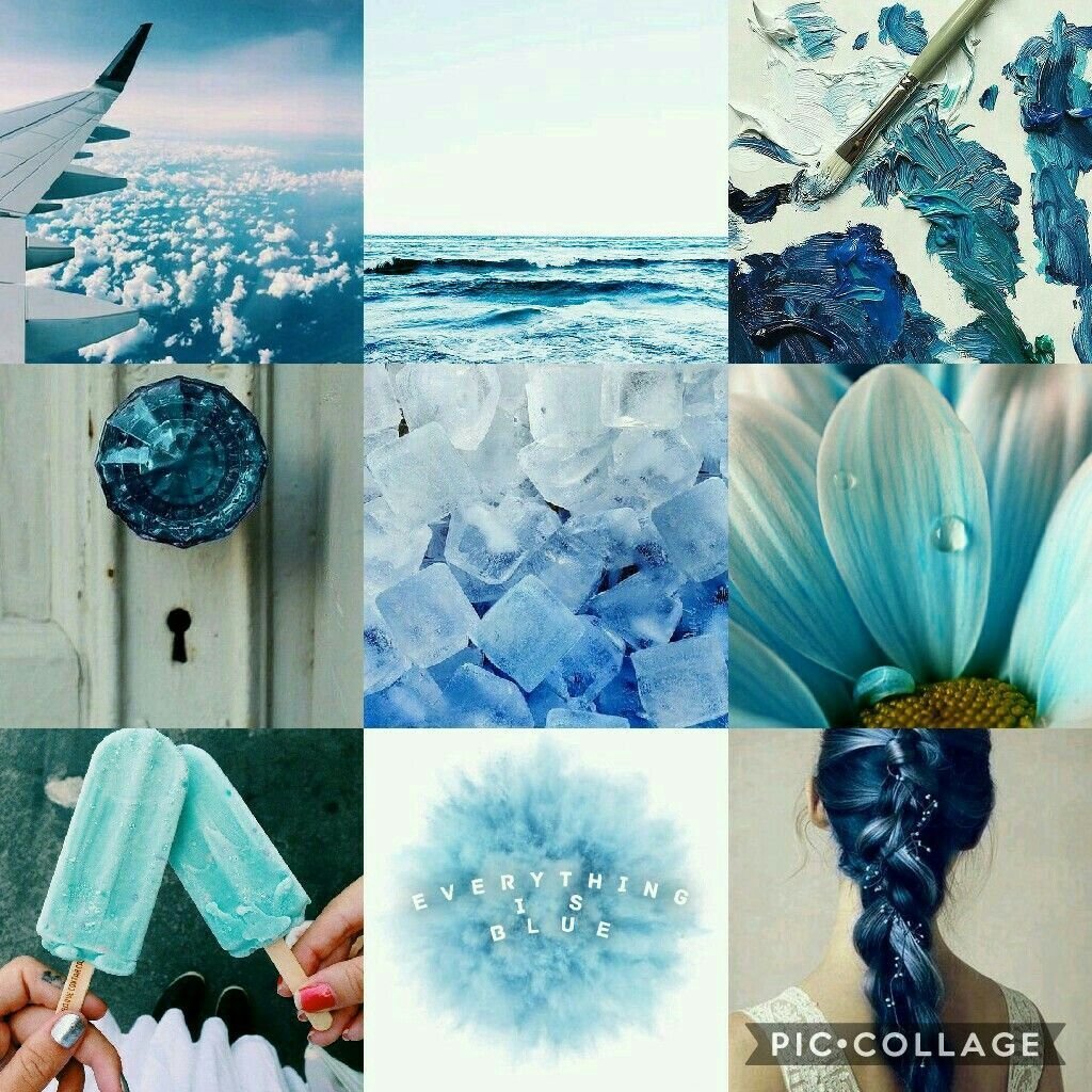 Гортензия Блю Вандер