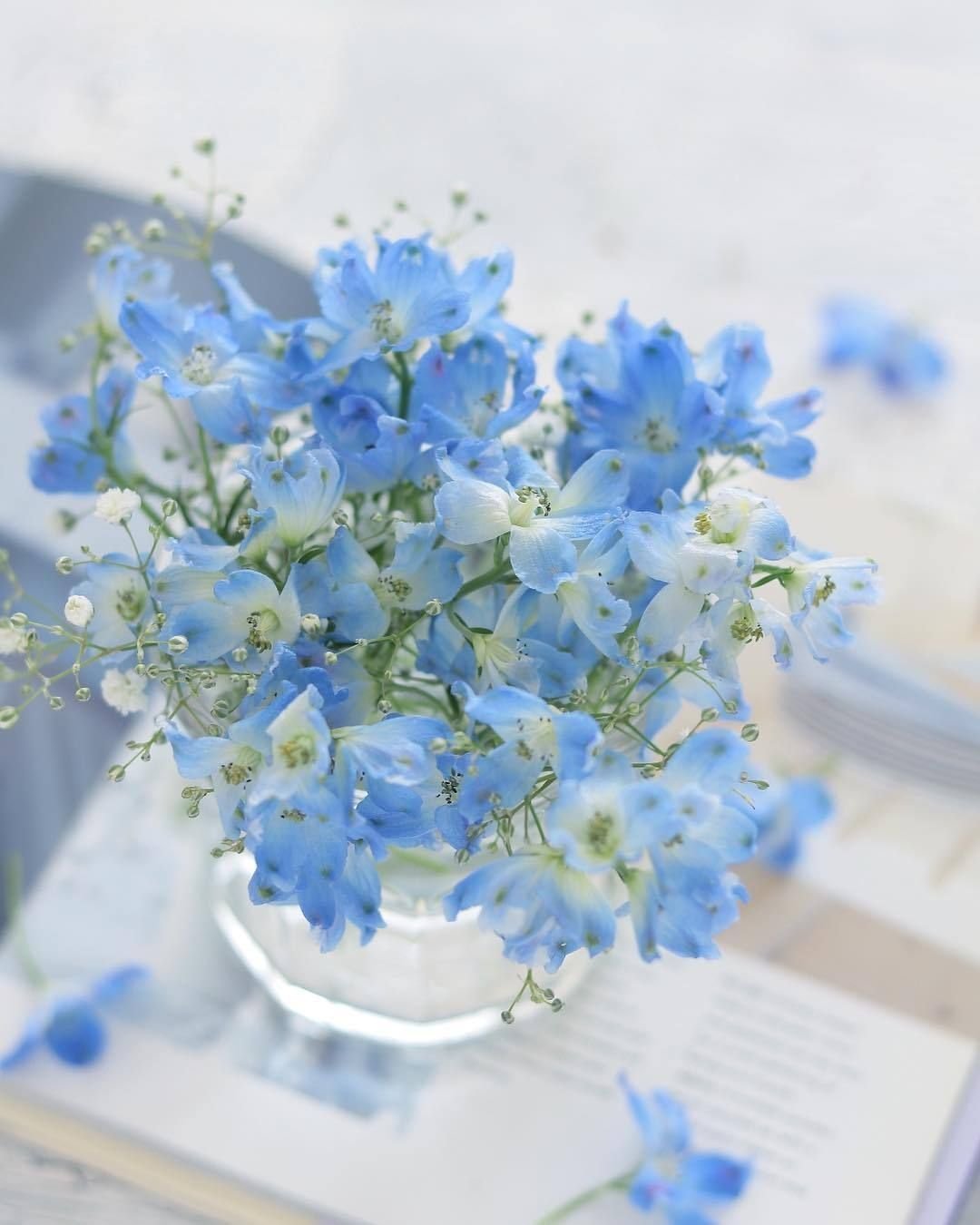 Эстетика голубого цвета