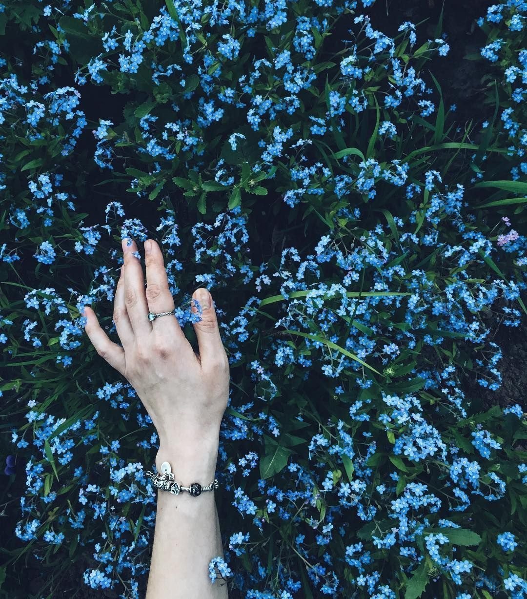 Эстетика синего