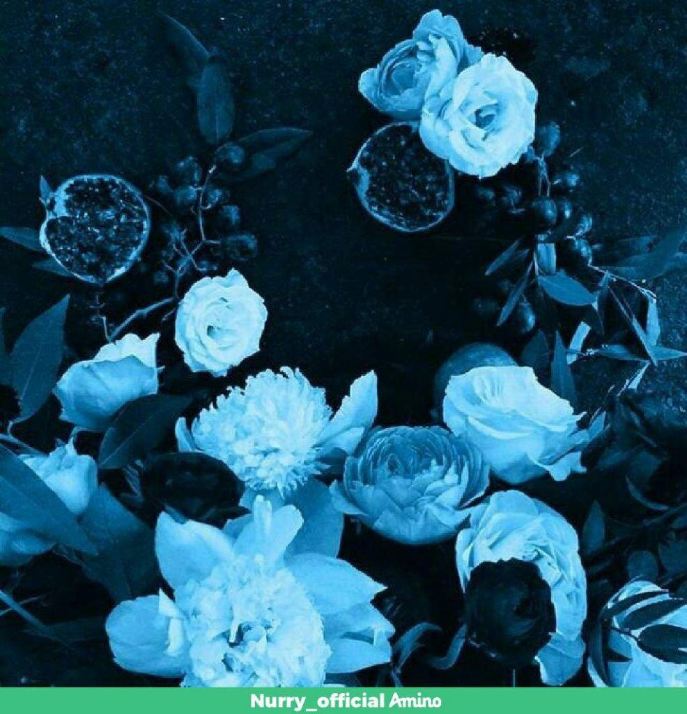 Синие цветы