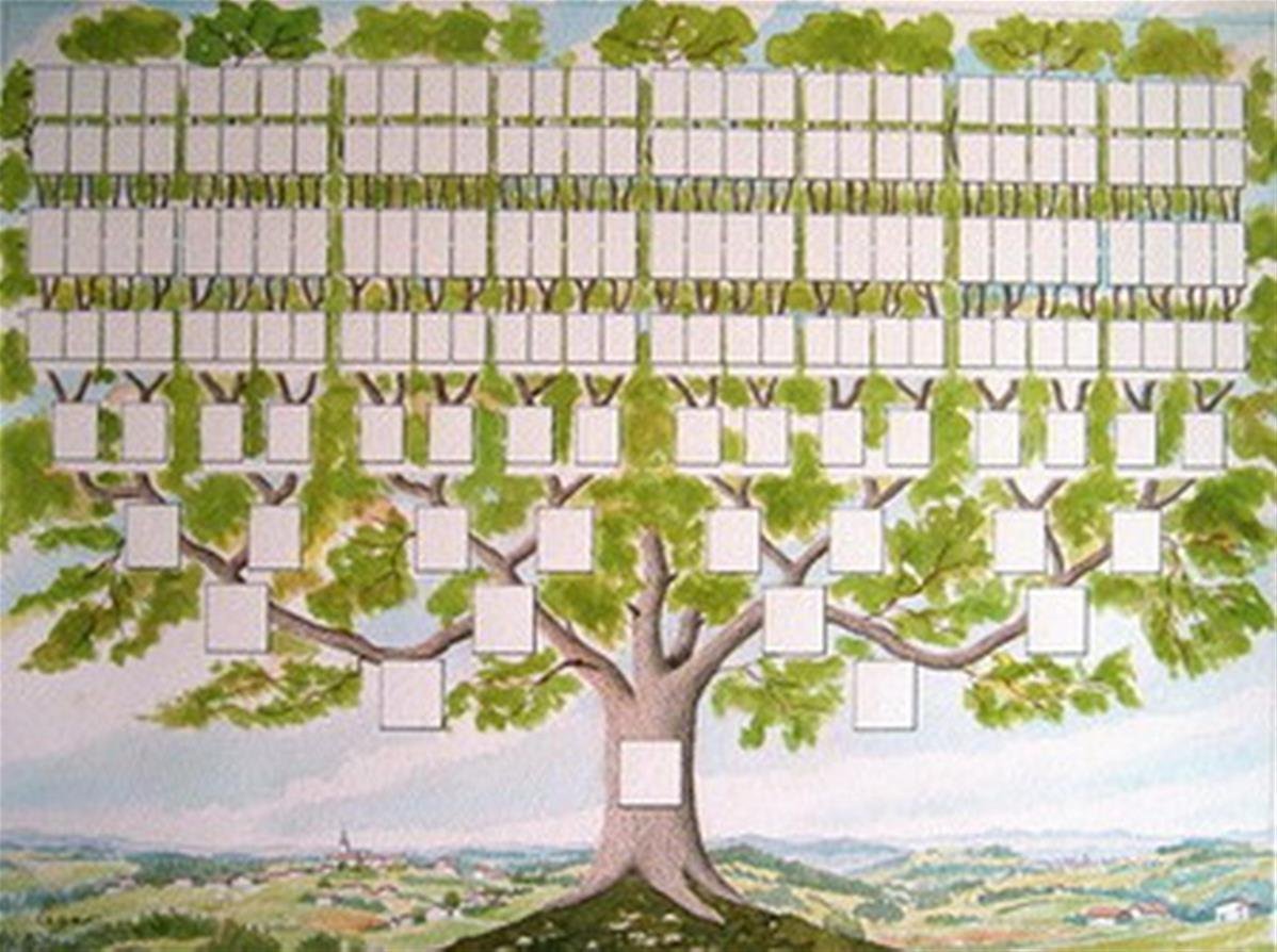Схема рода человека. Шежере родословная. Родословная генетическая дерево 7 поколений. Семейное Древо Шежере Багаевы. Родовое Древо 3 поколения.