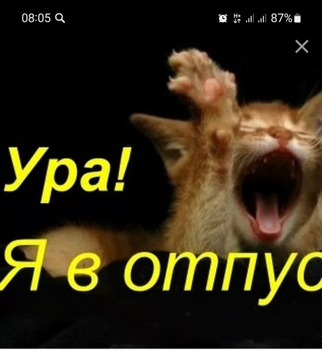 С отпуском прикольные