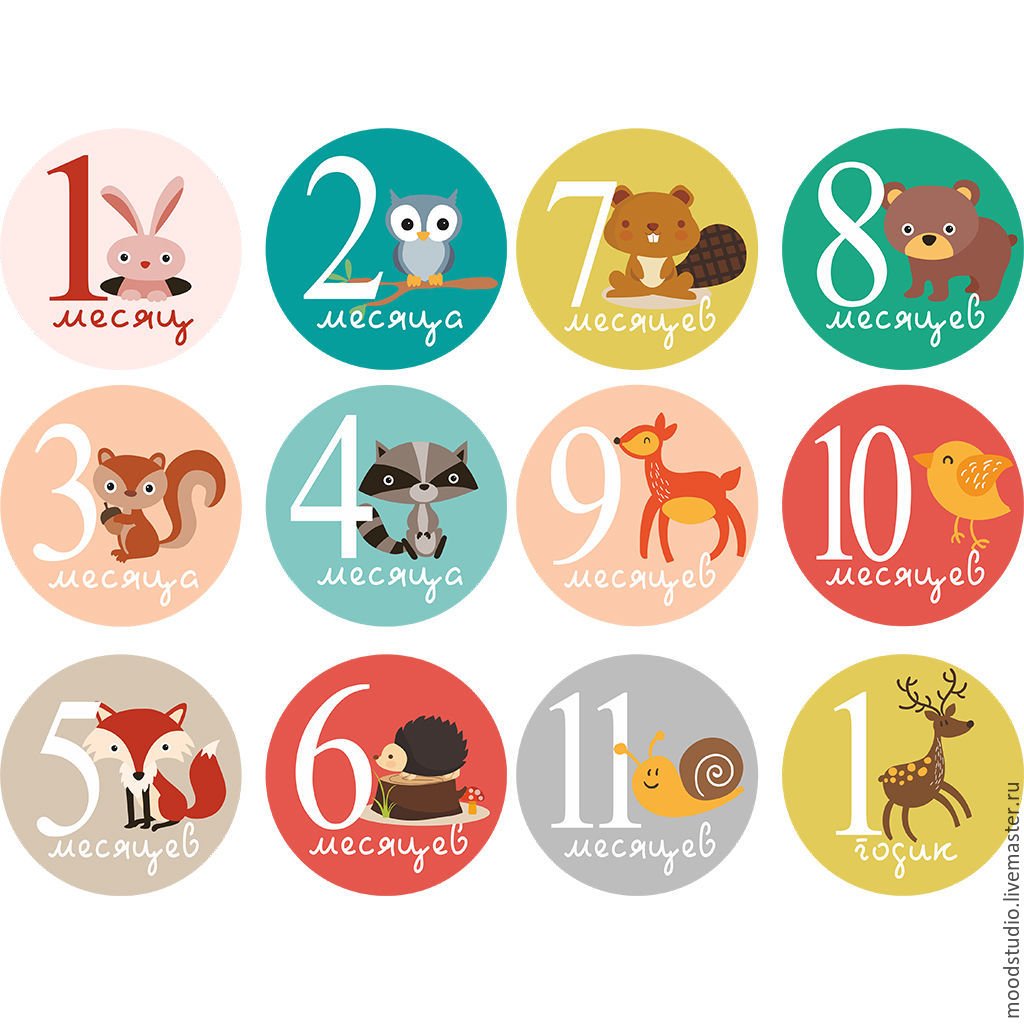 Наклейки по месяцам для новорожденных