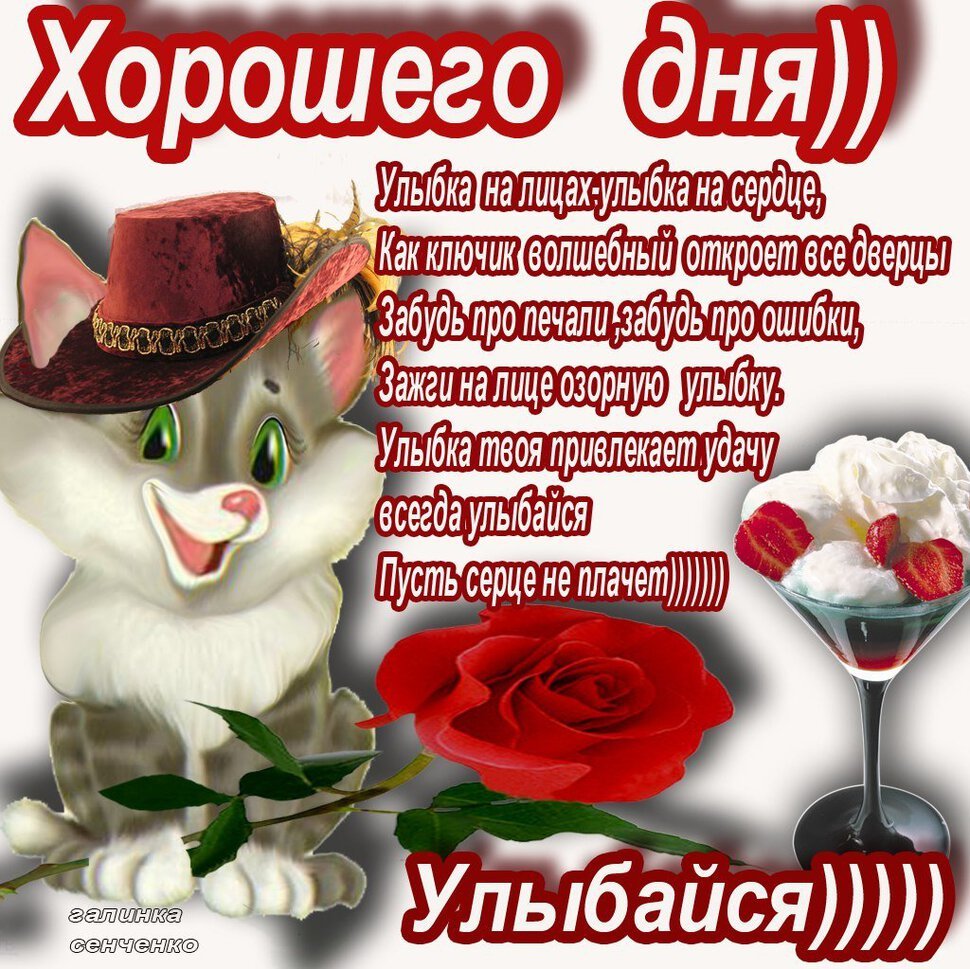 Смешные пожелания хорошего дня