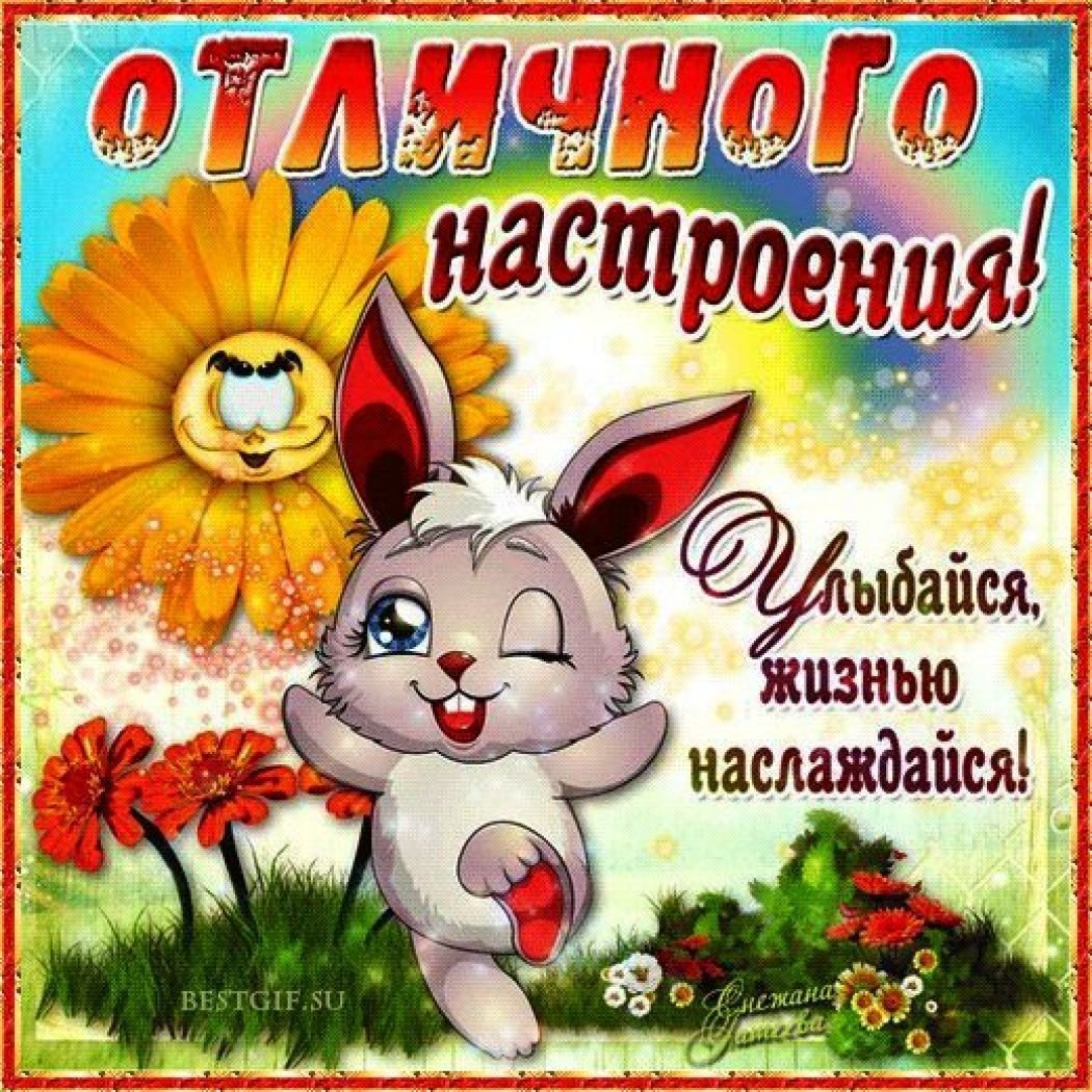 Доброе утро четверга