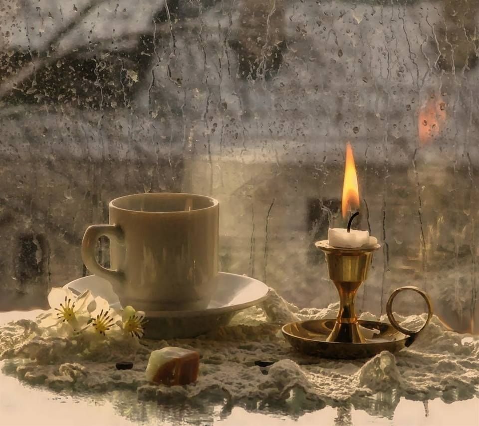 Уютная осень кот