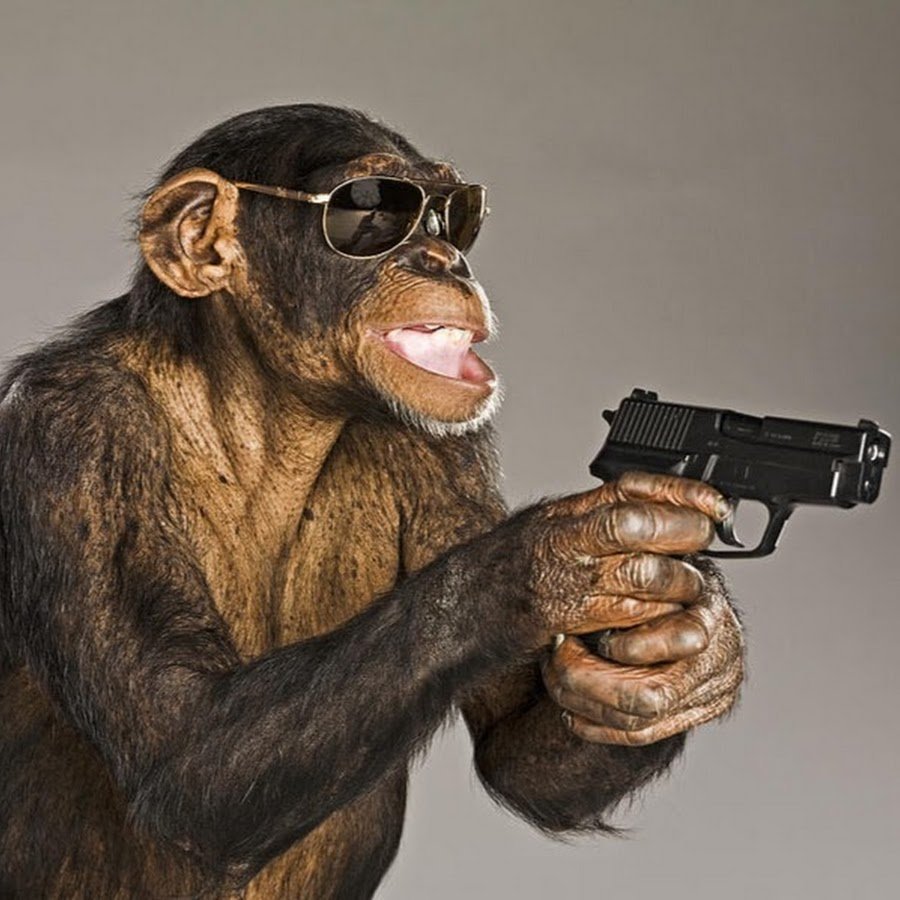 Обезьяна с счетами