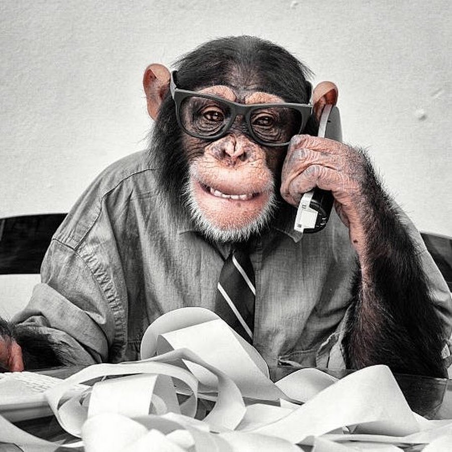 Обезьяна с телефоном