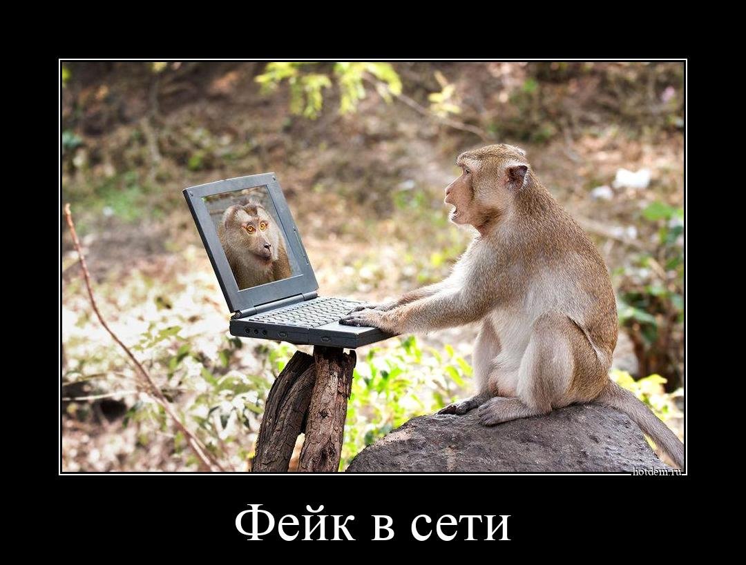 НФТ bored Ape Yacht Club