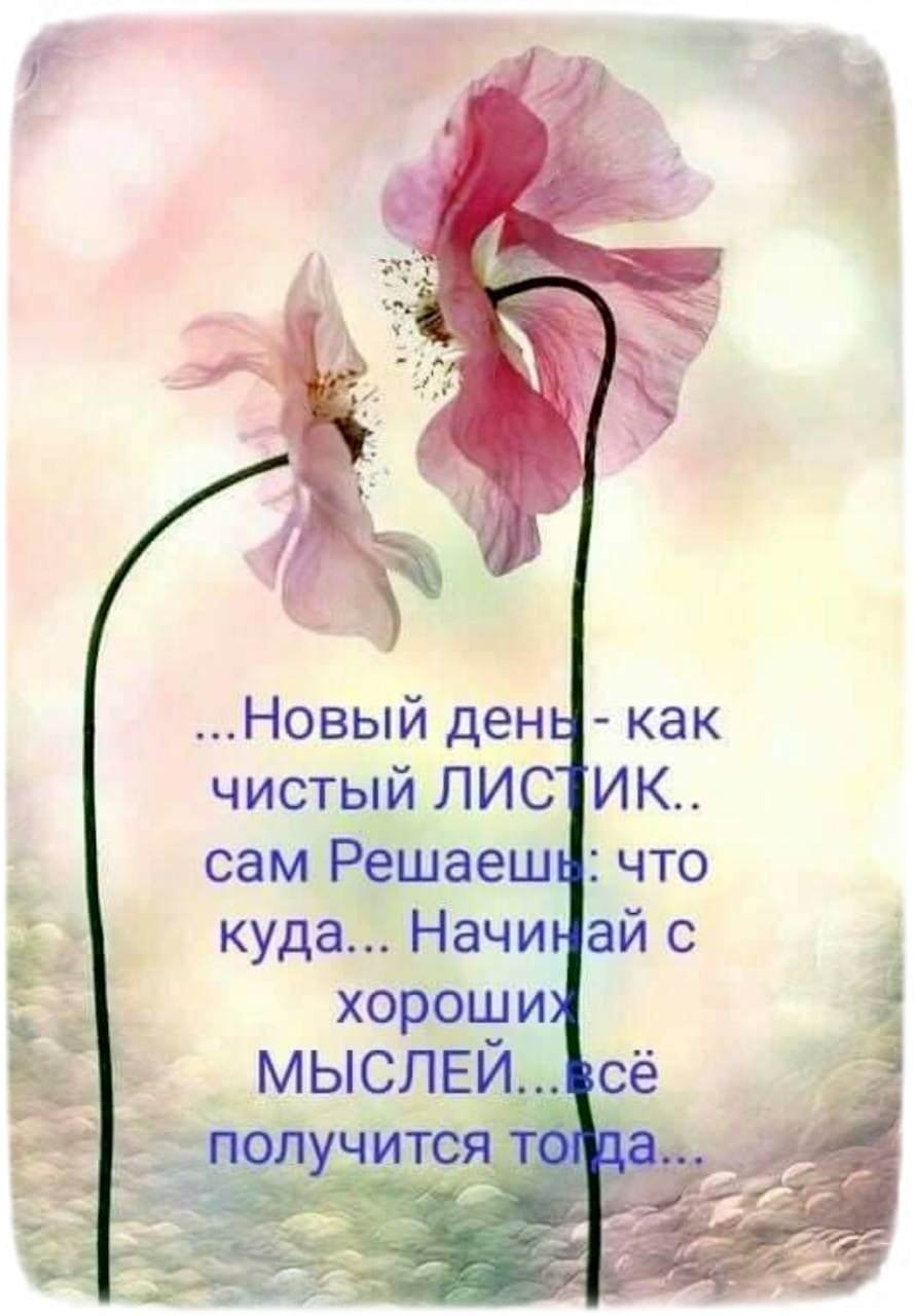 Цитаты с добрым утром и хорошего дня