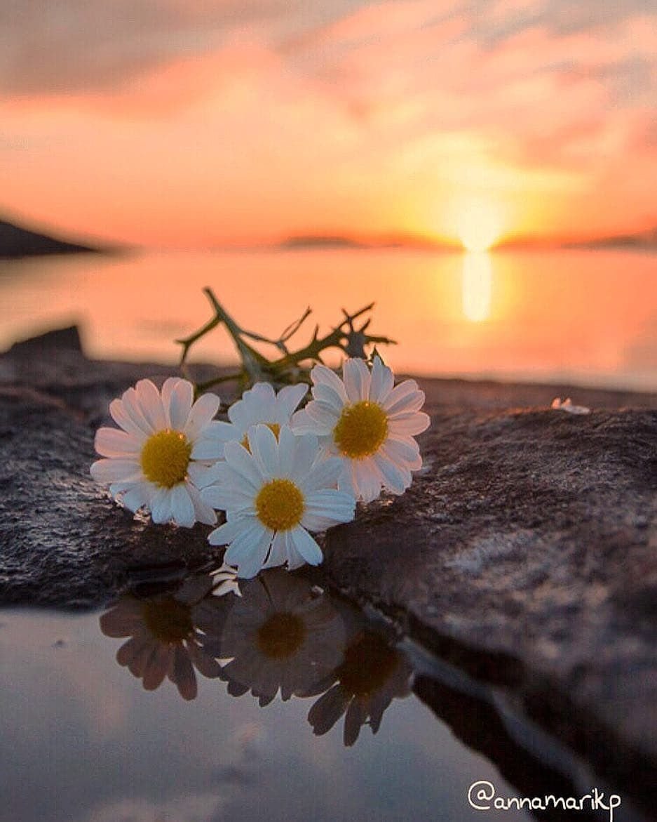 Сестры во Христе