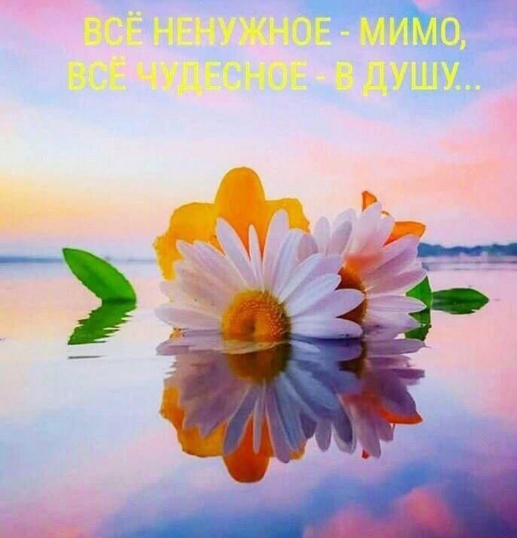 Доброе чудесное утро